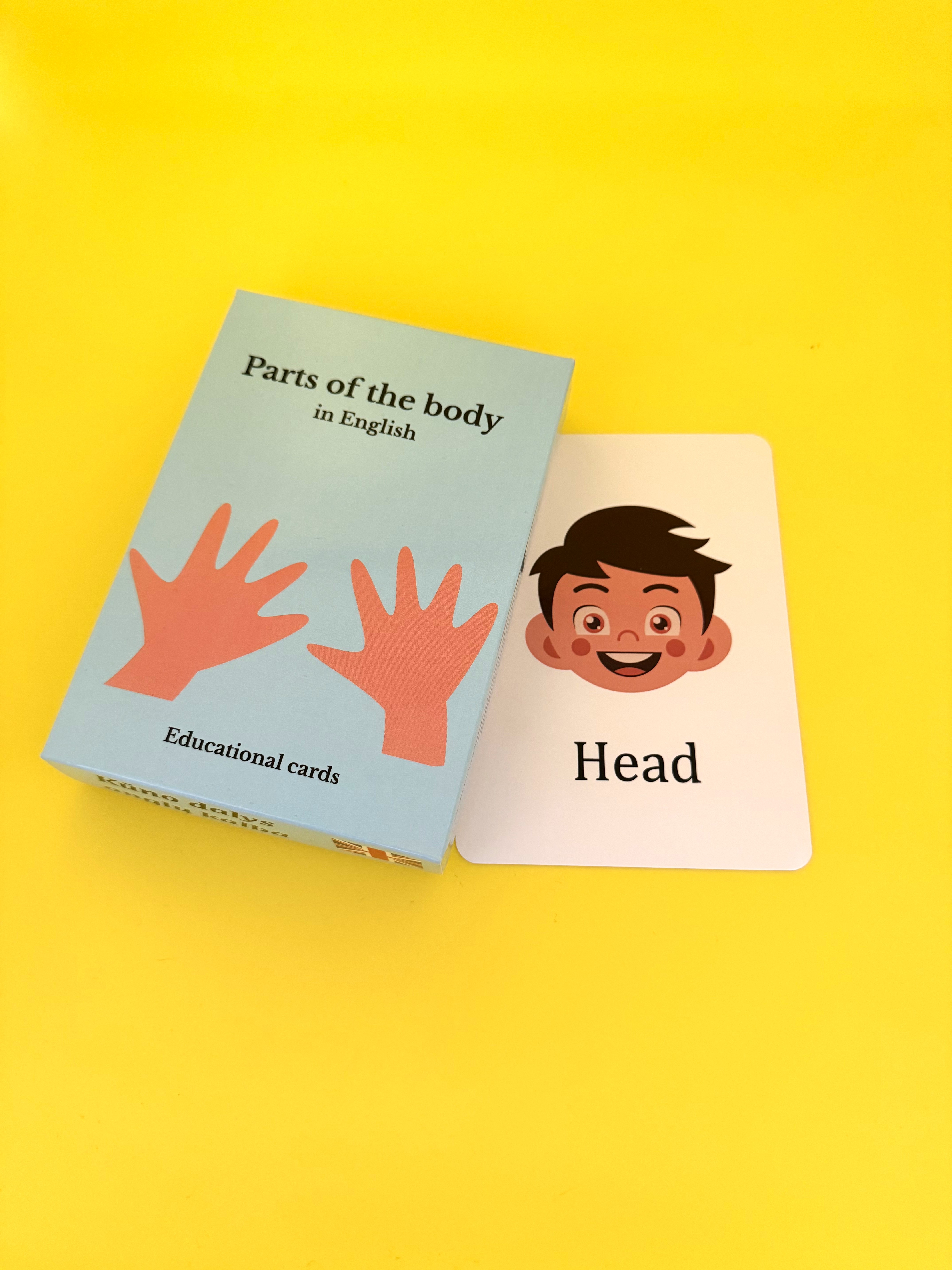 Kūno dalys anglų kalba