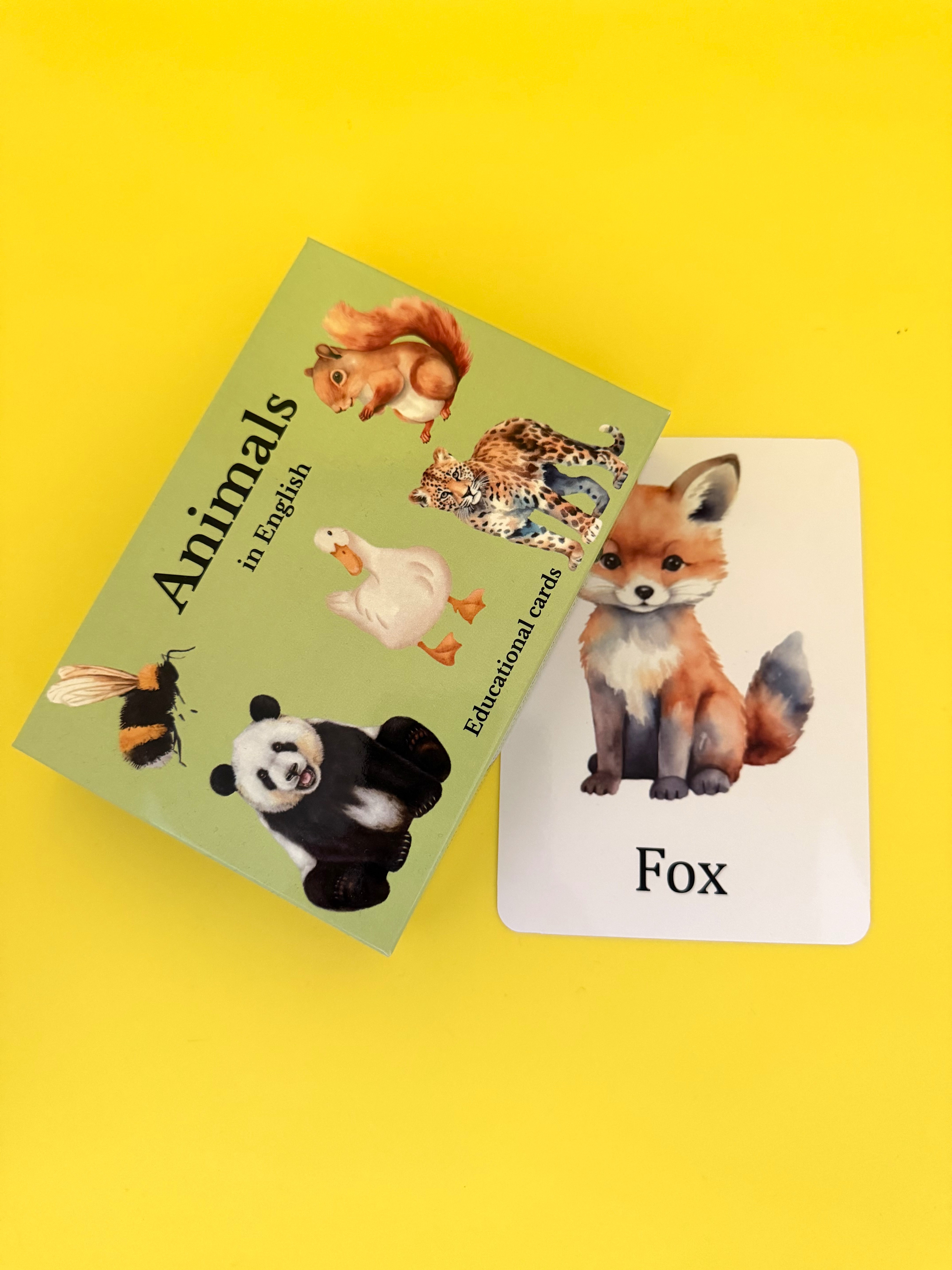 Gyvūnai anglų kalba