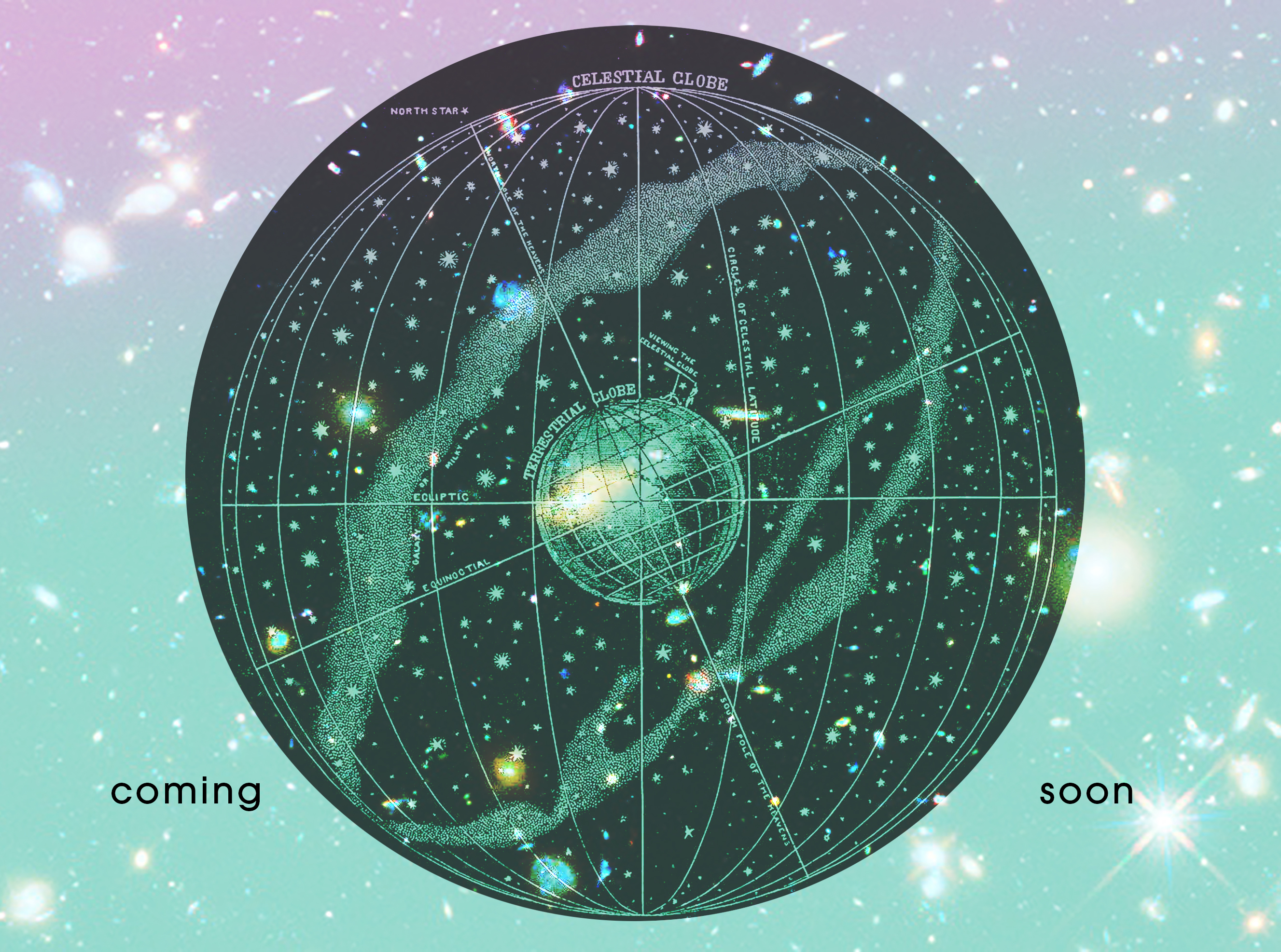 wild sol natal chart
