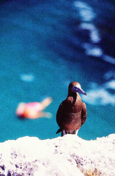 Viaje a las Islas Marietas