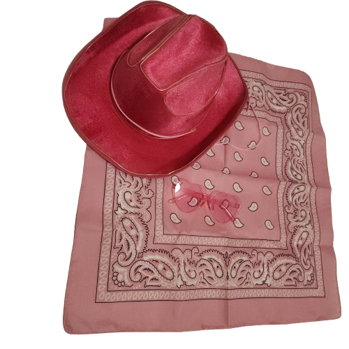 Light Up Cowboy Hat, Bandana, and Glasses