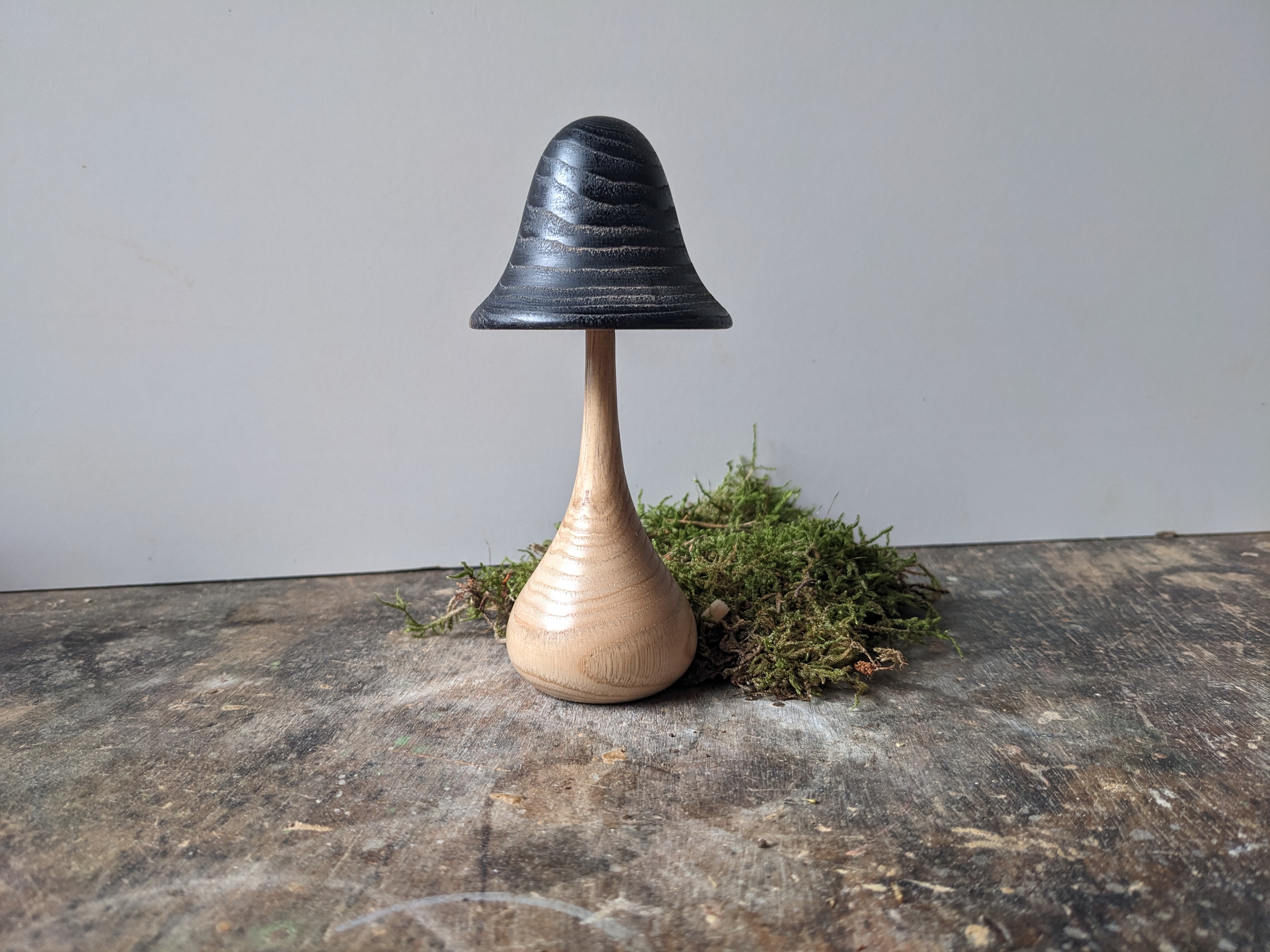 Champignon à tête brûlée