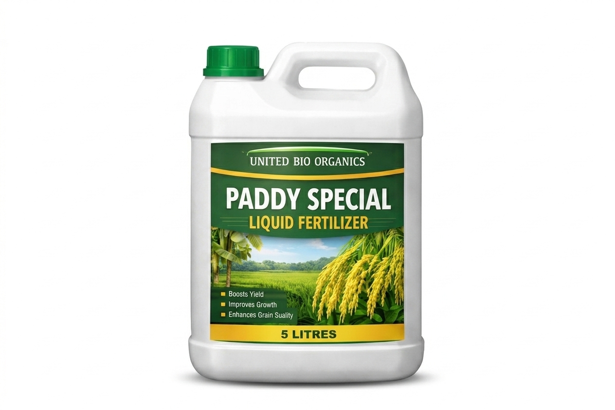Paddy Special