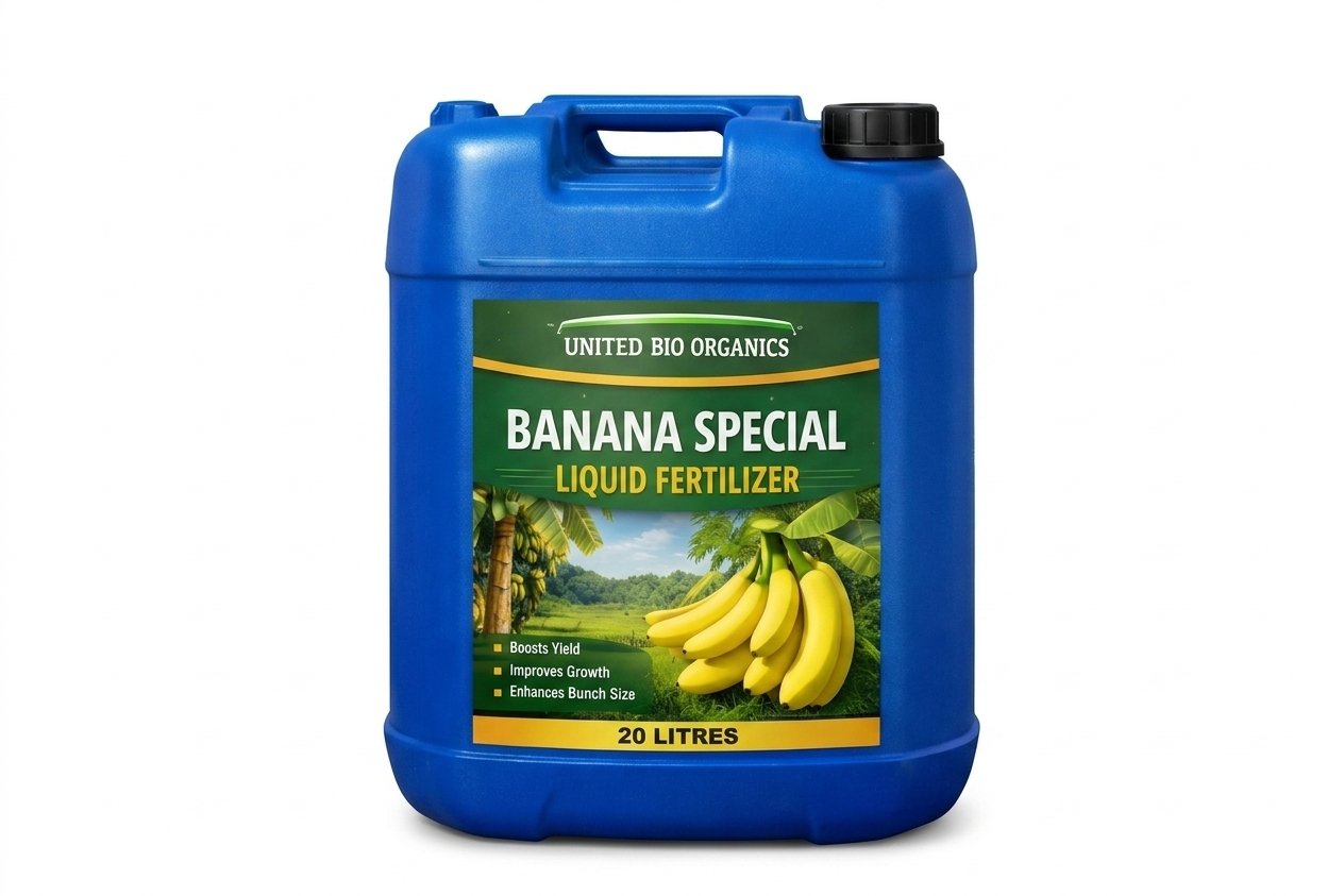 Banana Special