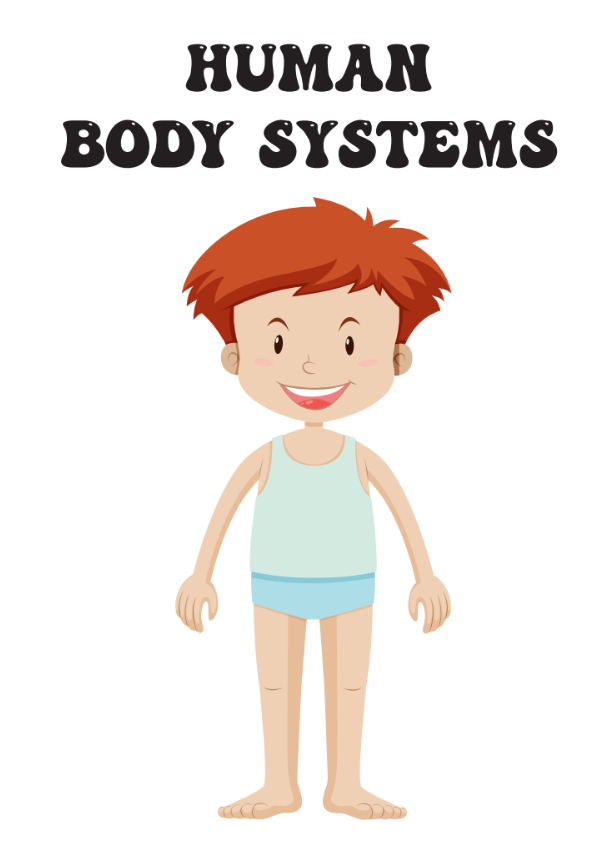 ✨ Ultimate Kids Activity Mega Bundle – 300+ Printable Educational PDFs