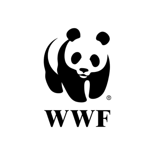 Donación a WWF (World Wildlife Fund)