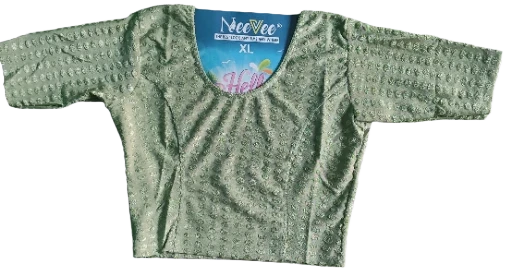 महिलाओं का फैन्सी ब्लाउज