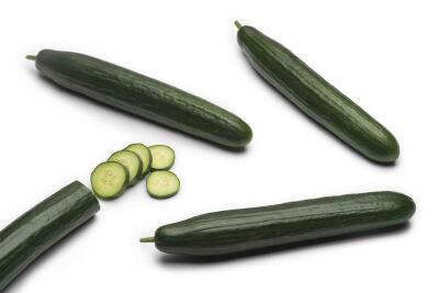 PEPINILLO HOLANDEZ X UND