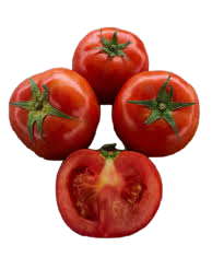 Tomates Frescos