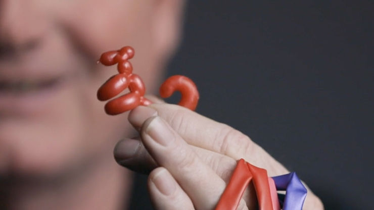 Animinimals (Set of 10) by Billy Damon