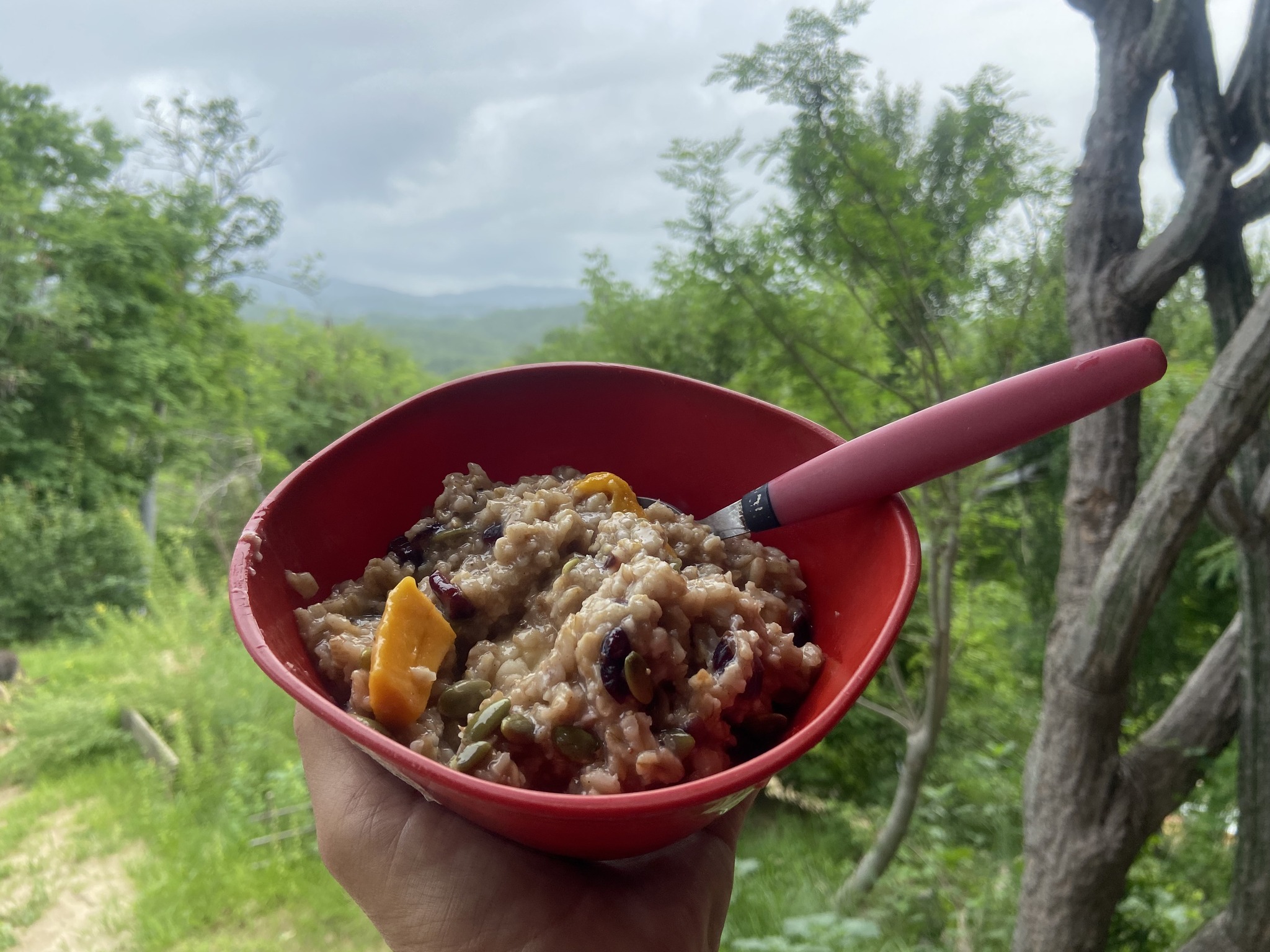 Shakti: One Day of Yoga & Detox