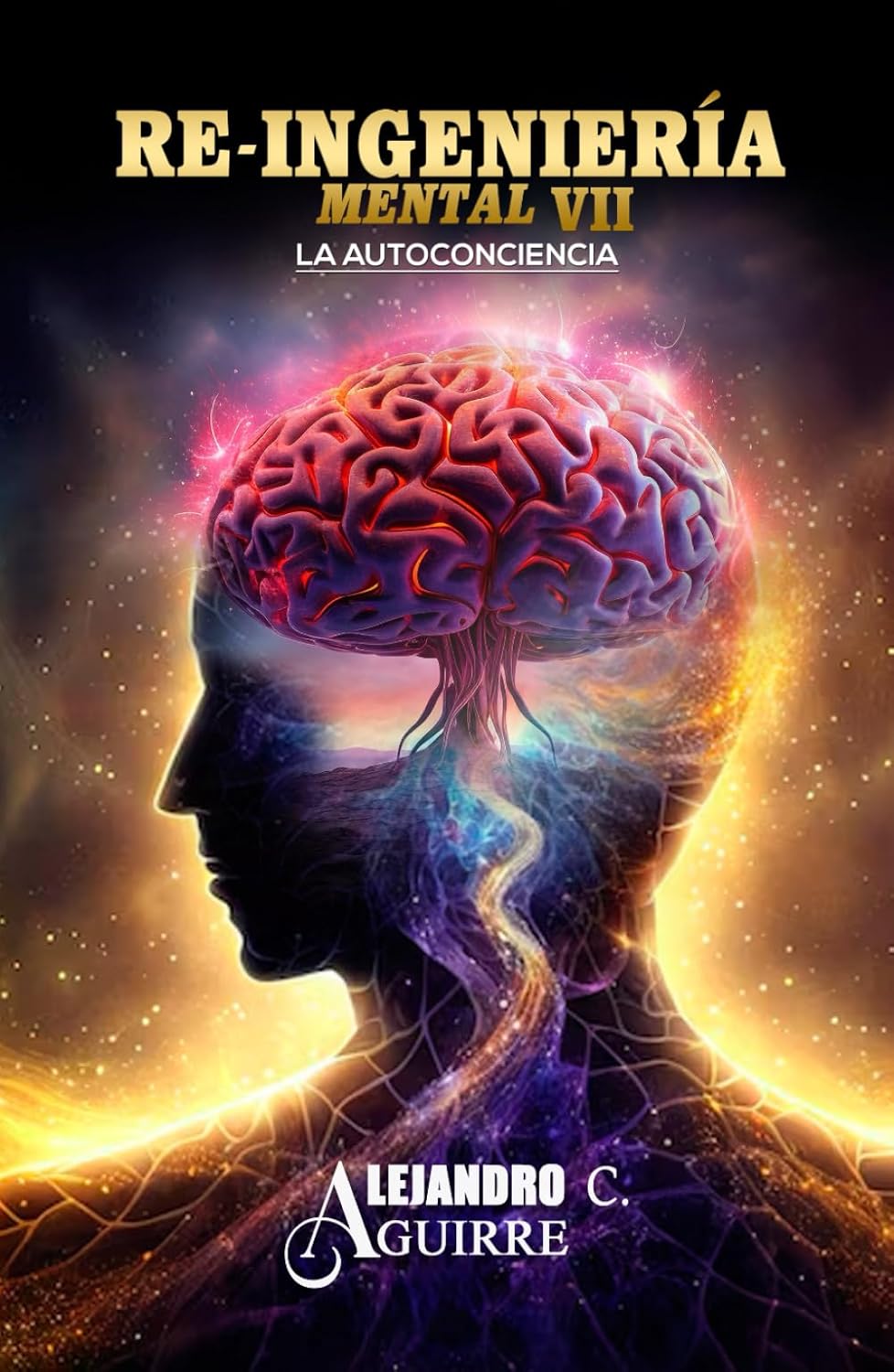 RE-INGENIERIA MENTAL VII