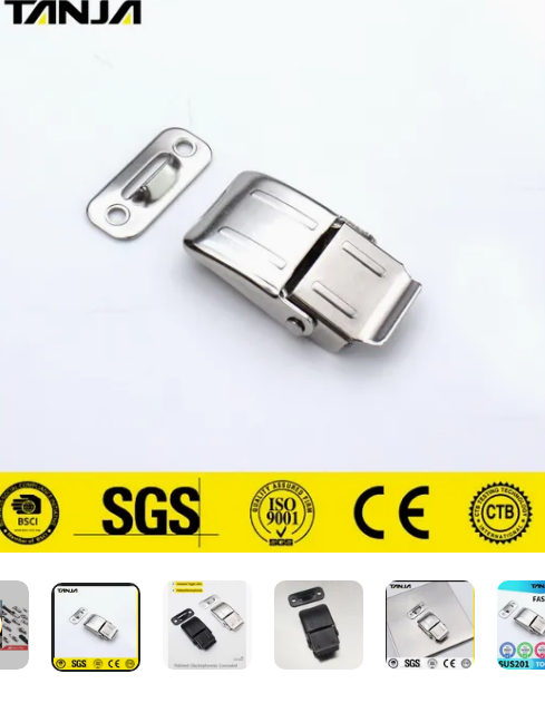 Concealed Adjustable Toggle Latch Stainless Steel Hook Hidden Food Machine Draw Latch Exercise and Fitness Machine Latch（产品标题）