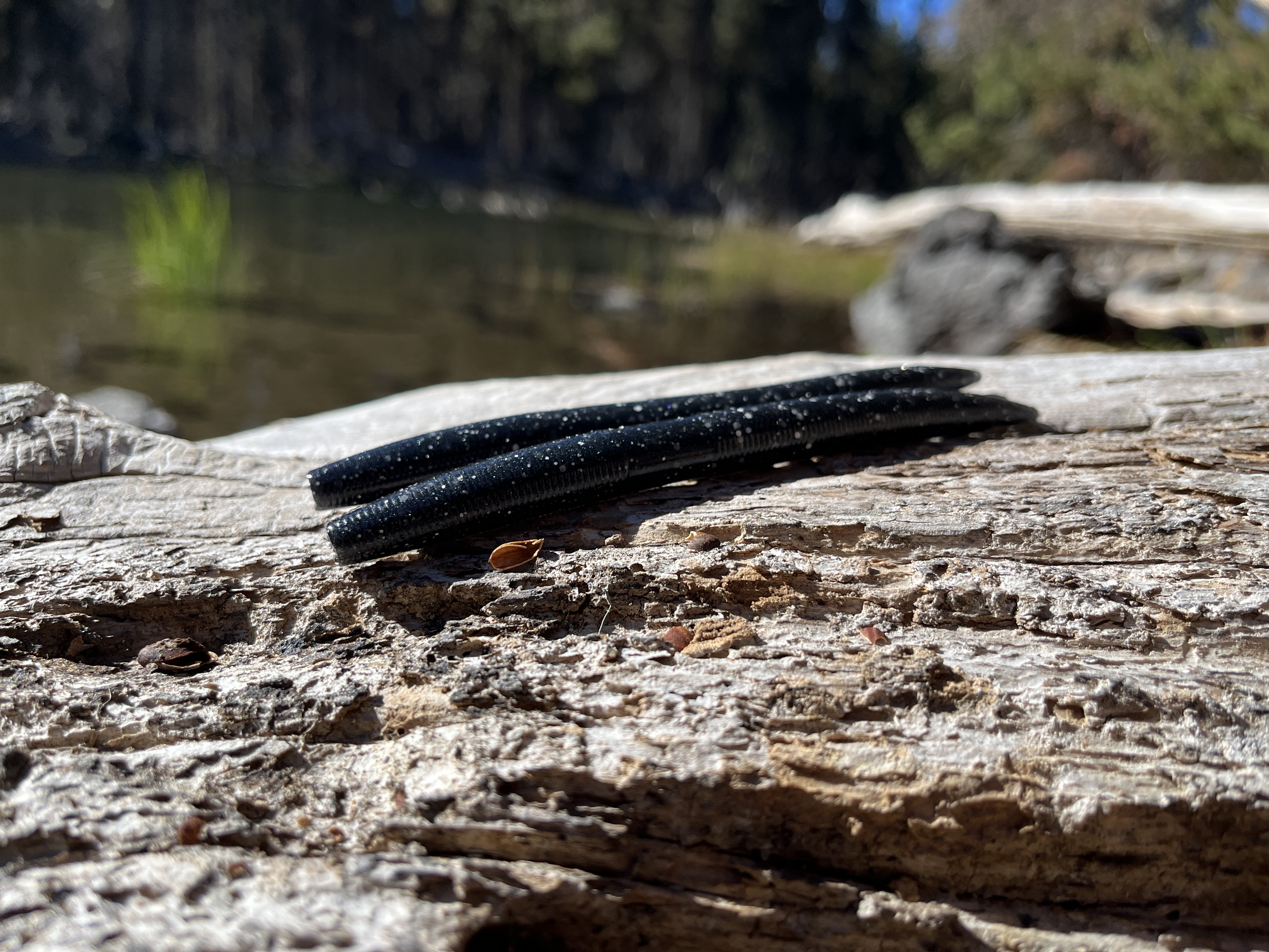 HOBAD — 5" Stick Worm (8-Pack)