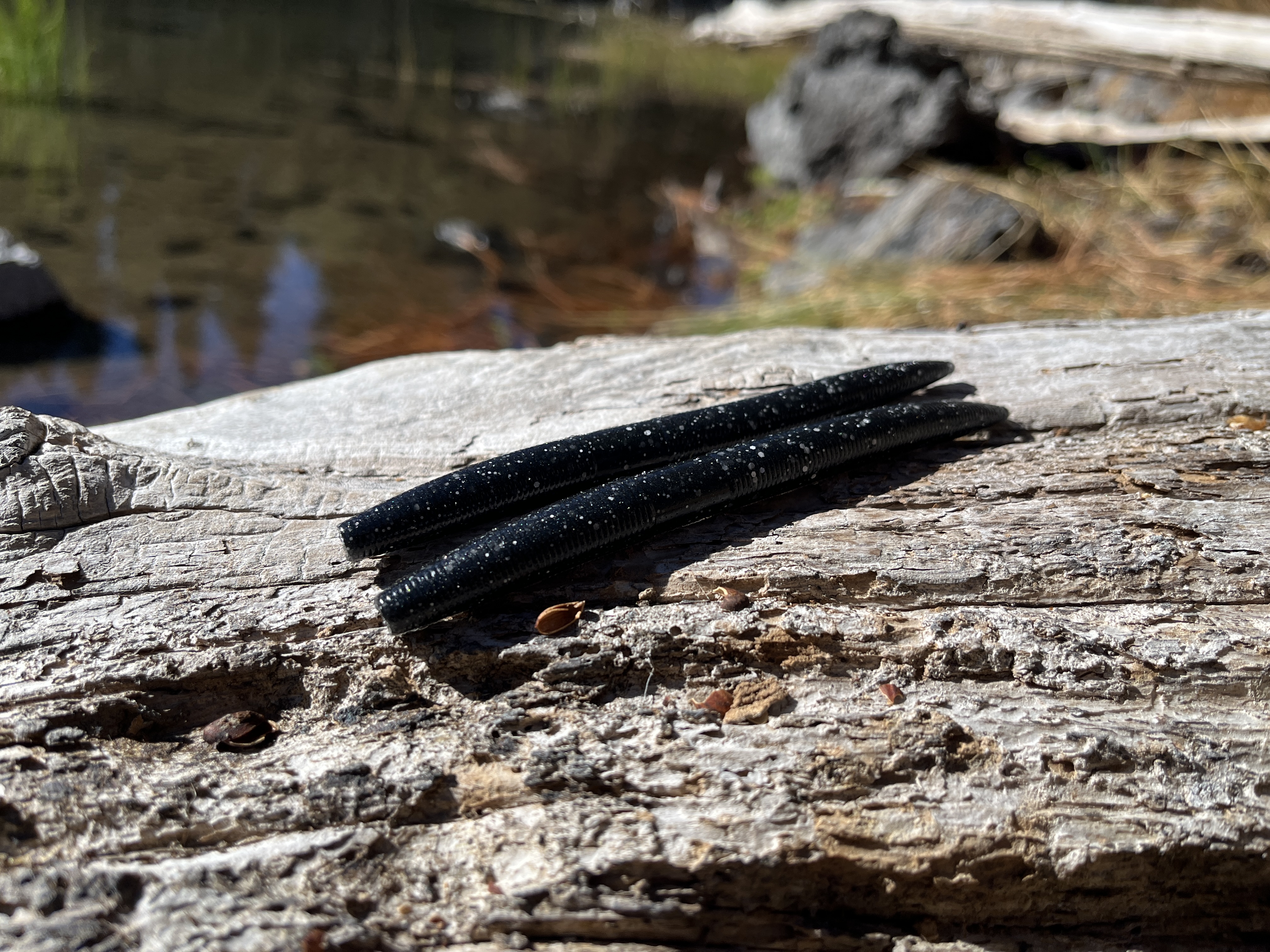 HOBAD — 5" Stick Worm (8-Pack)