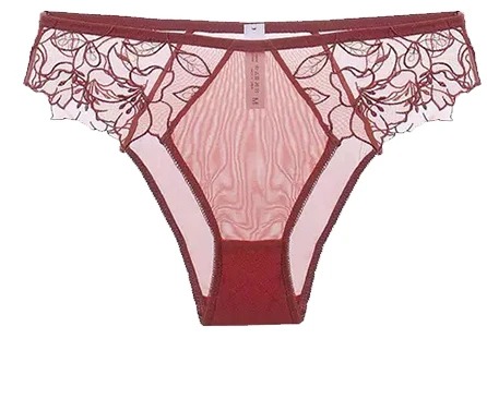 Ensemble de lingerie élégante