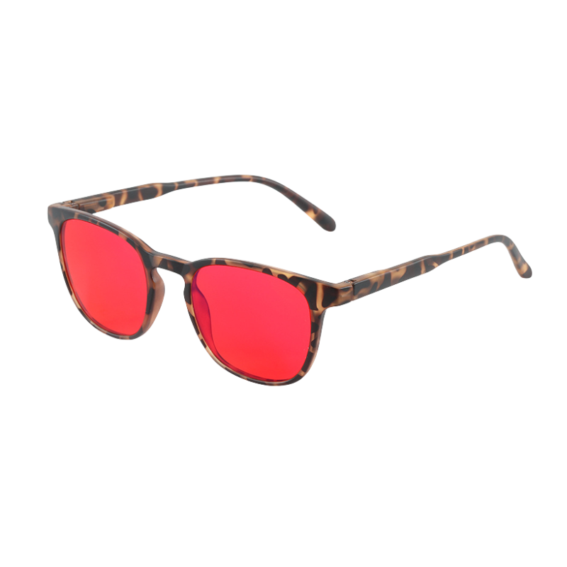Anti-Blue Light Computer Glasses - Tortoise Frames