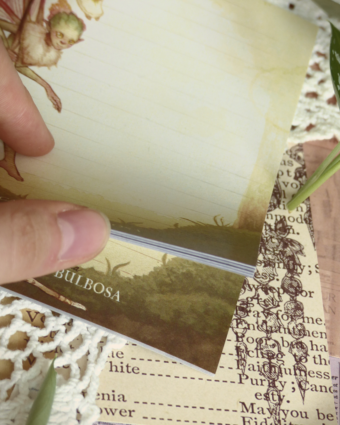 Calypso Bulbosa Fairy Notepad A5