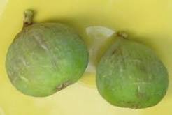 Fig (White Triana)