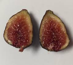 Fig (Gino's Black)