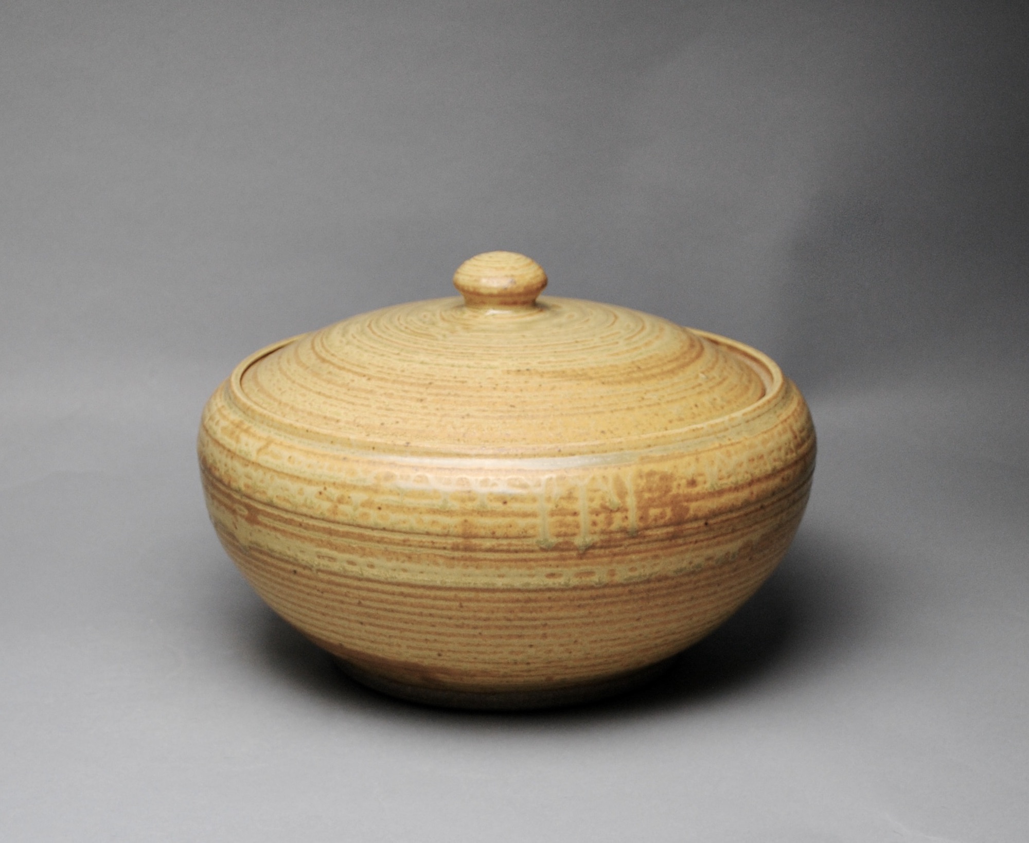 Covered Casserole Bakeware Z 18