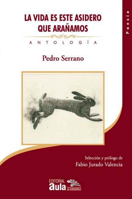 La vida es este asidero que arañamos