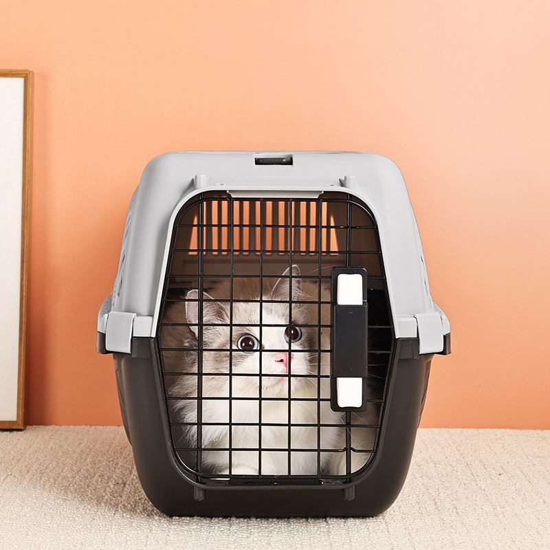 Transportadora para mascotas