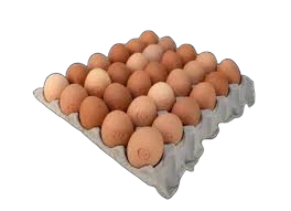 Huevos frescos carton de 30 unidades