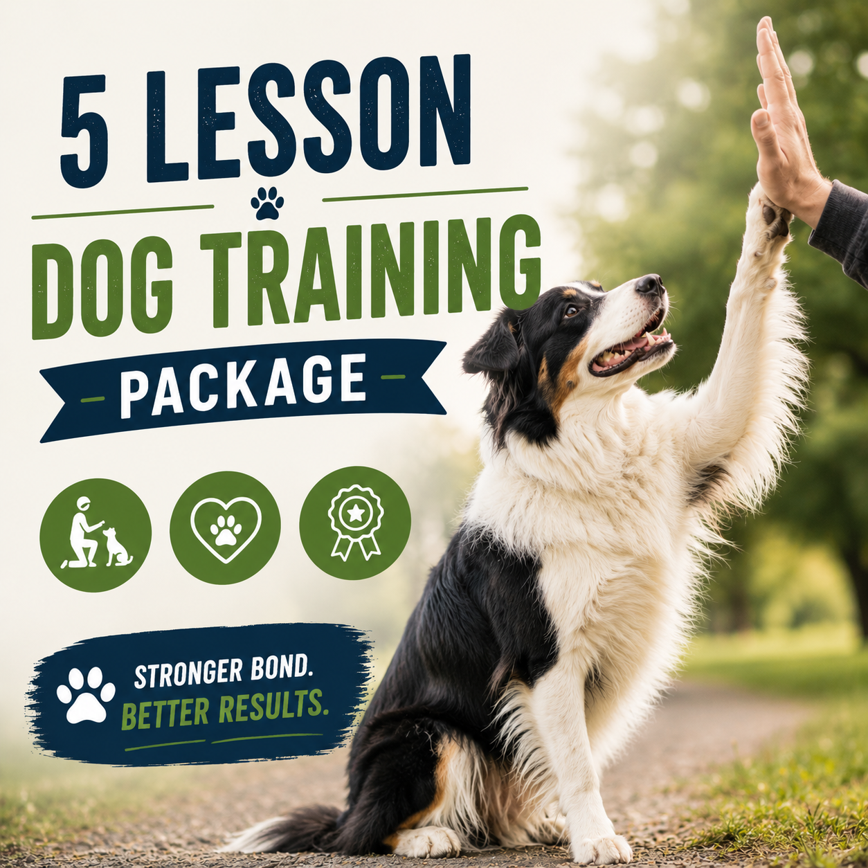5 Lesson package