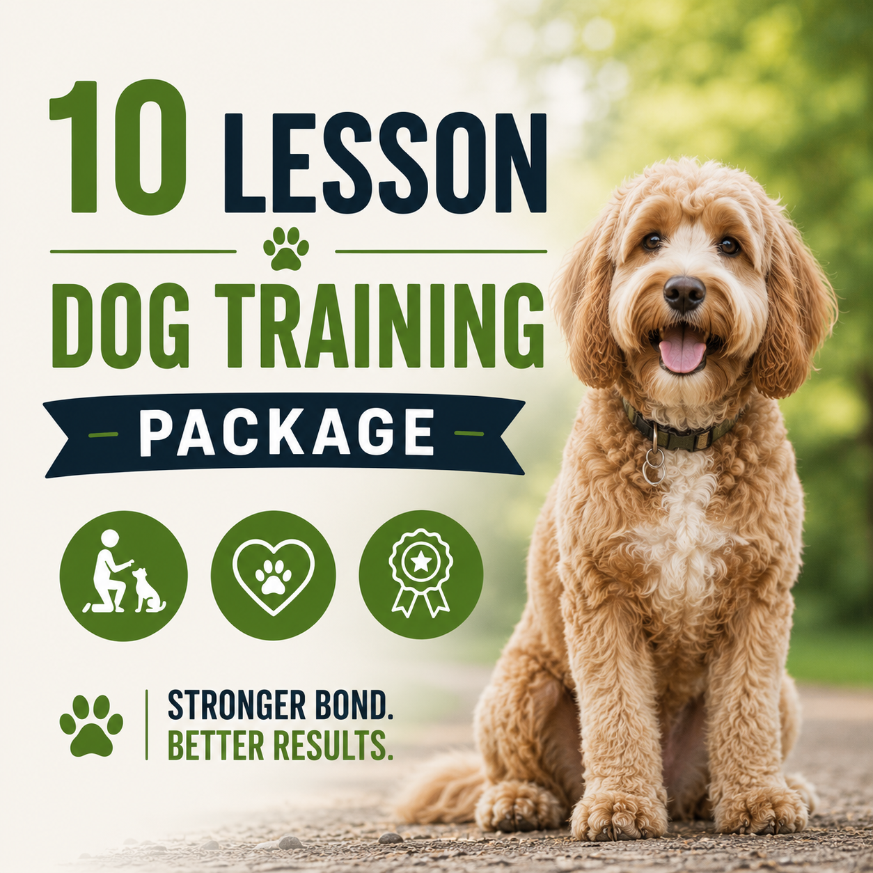 10 Lesson package