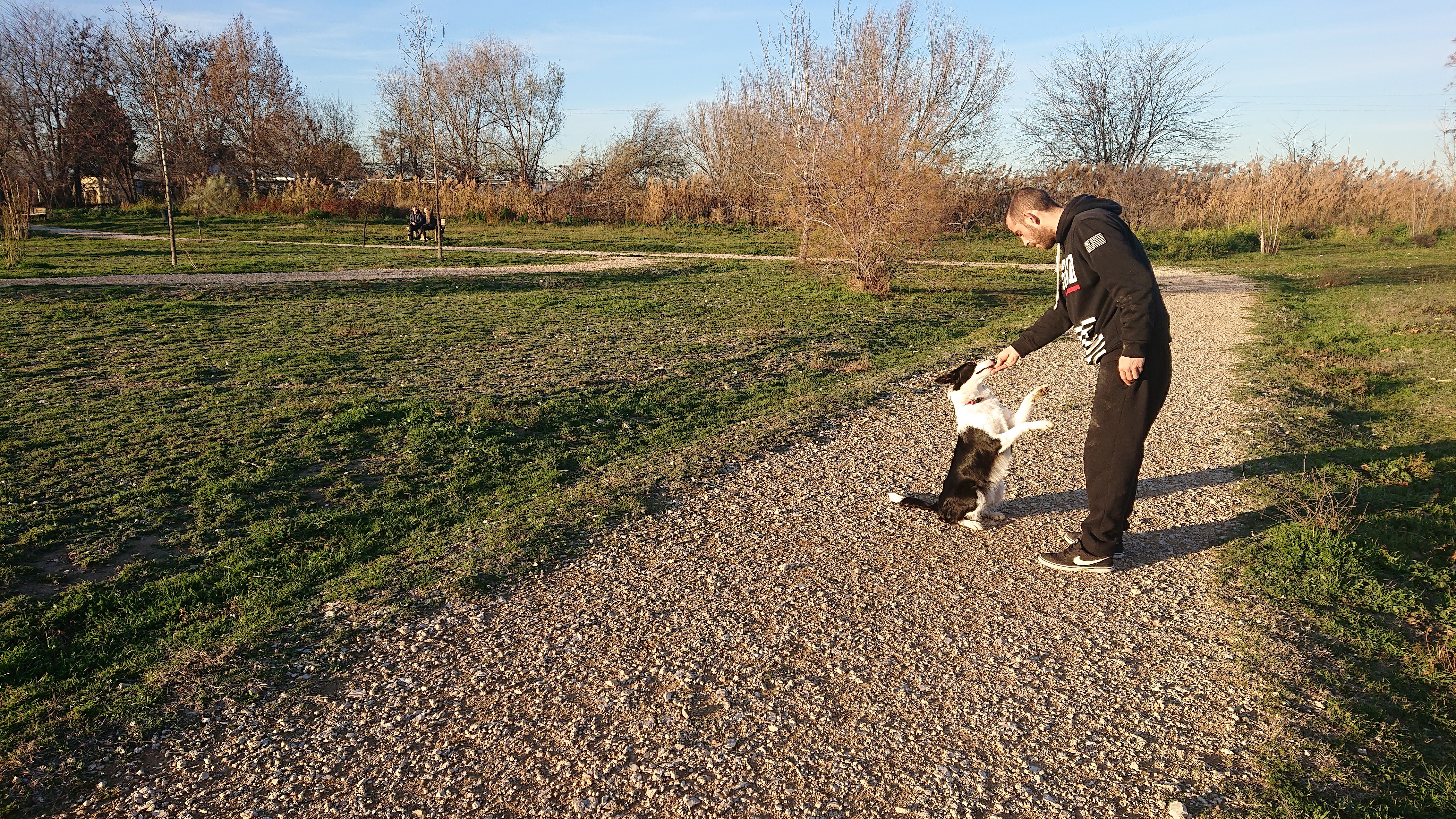 Reserva tu clase de Educación canina /Modificación de Conducta Individual 