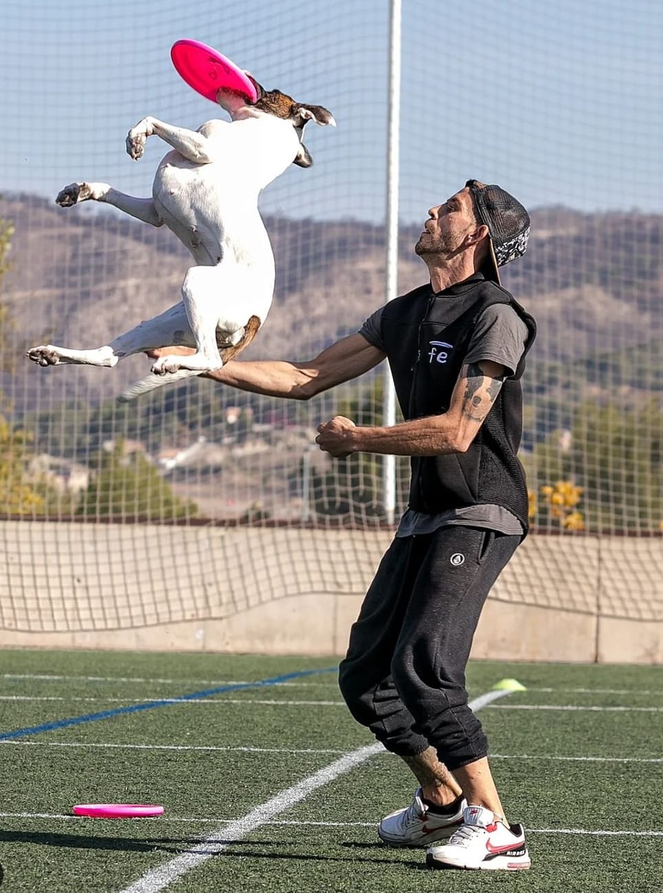 Reserva clase Discdog Online