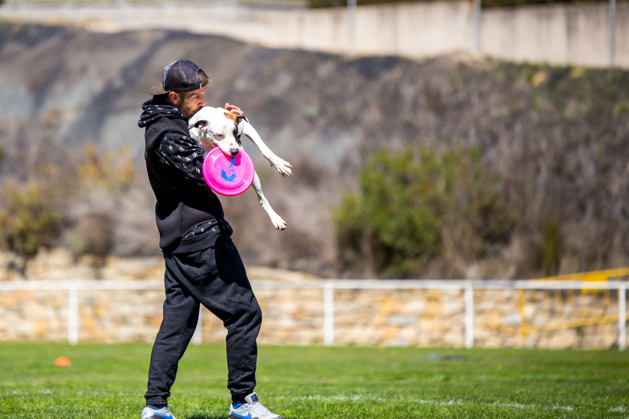 Reserva tu clase de Educación canina /Modificación de Conducta Grupal