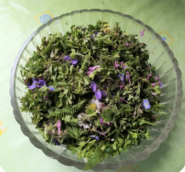 Holistic Health Coaching 