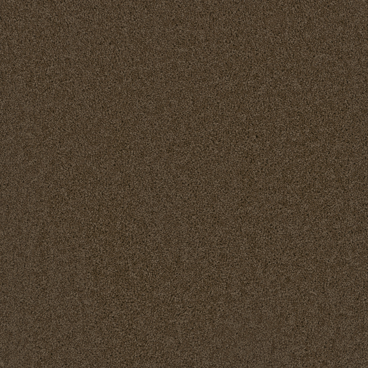 Dreamweaver Broadcast Plus 