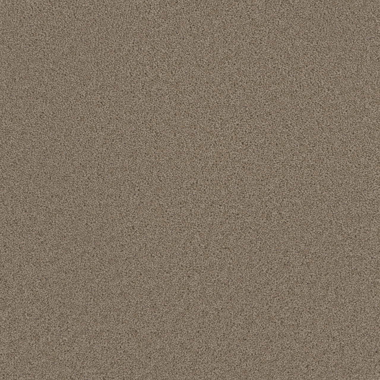 Dreamweaver Broadcast Plus 