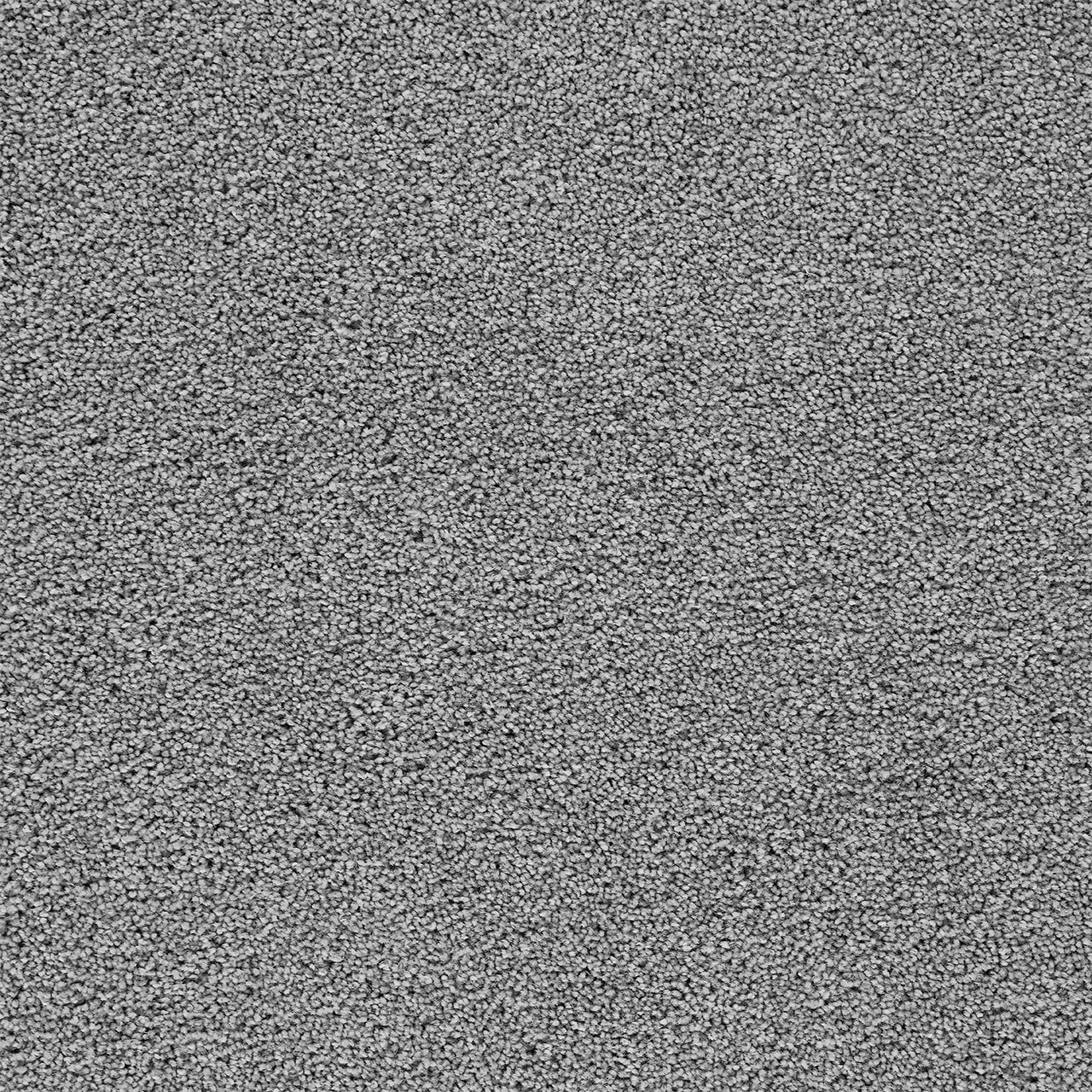 Dreamweaver Broadcast Plus 