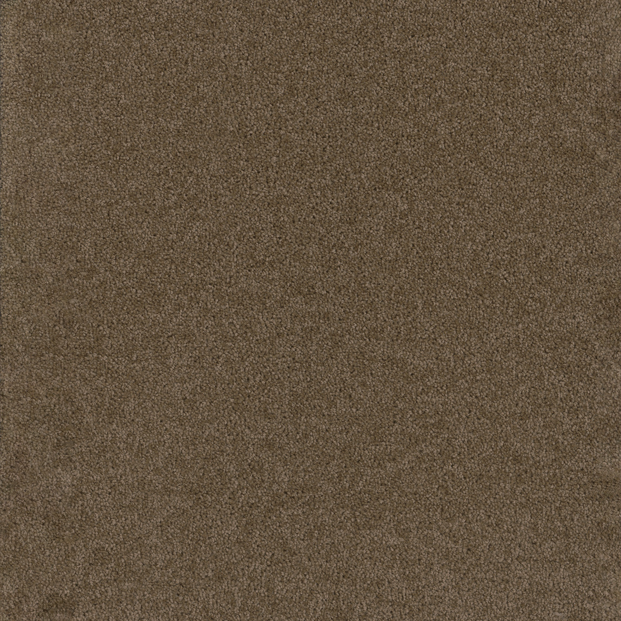 Dreamweaver Broadcast Plus 