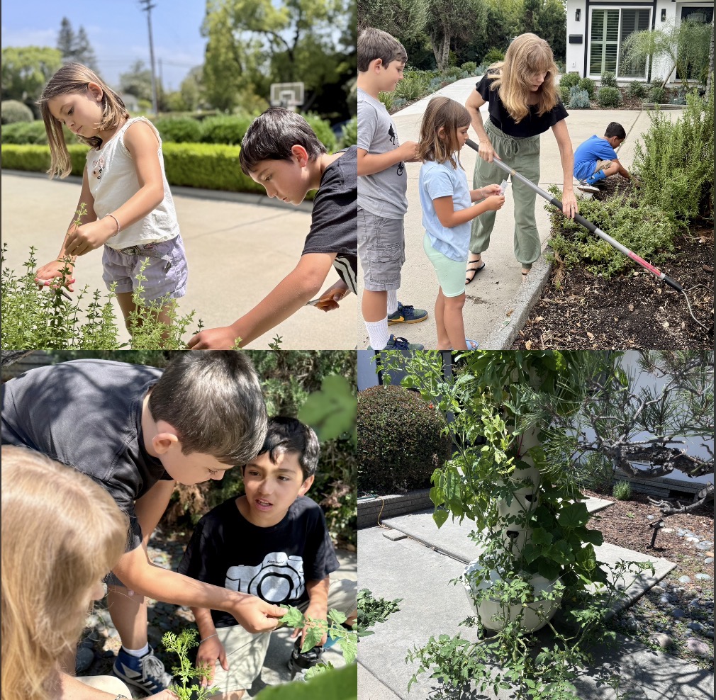 Gardening in the Cool Season - February