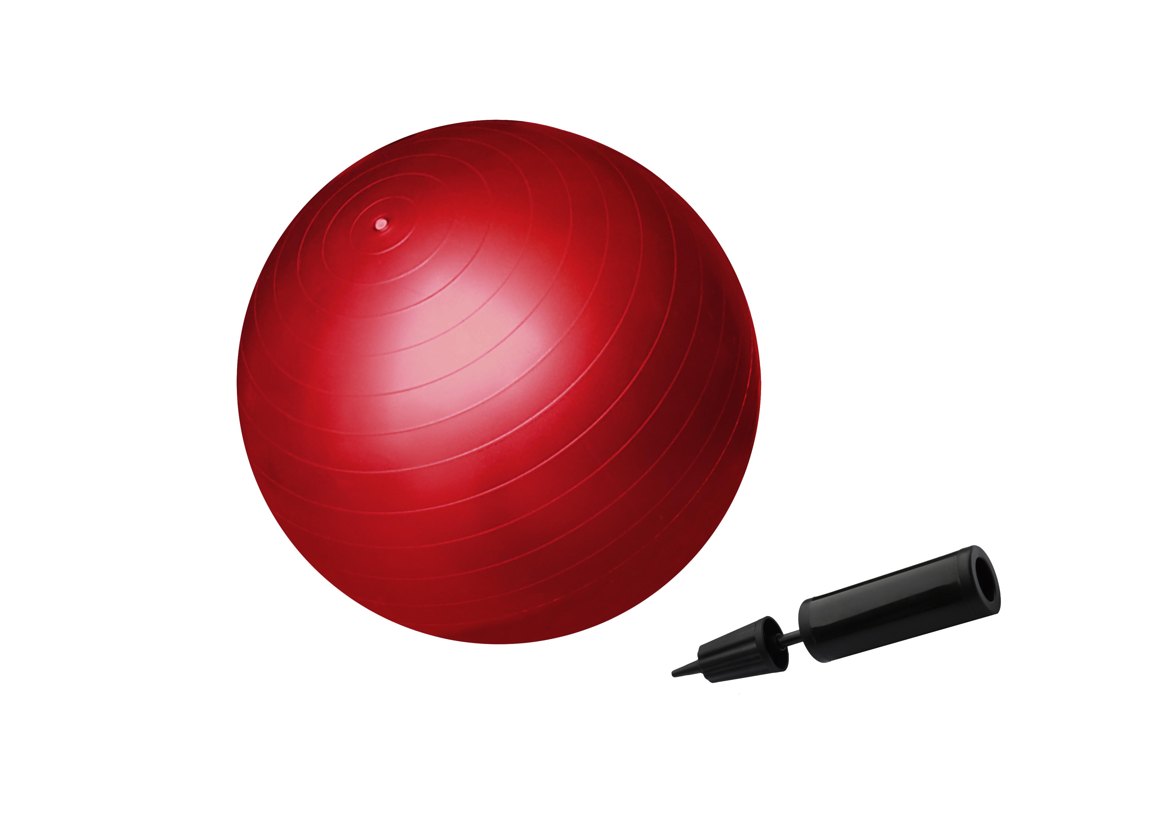 Gym ball 55 cm