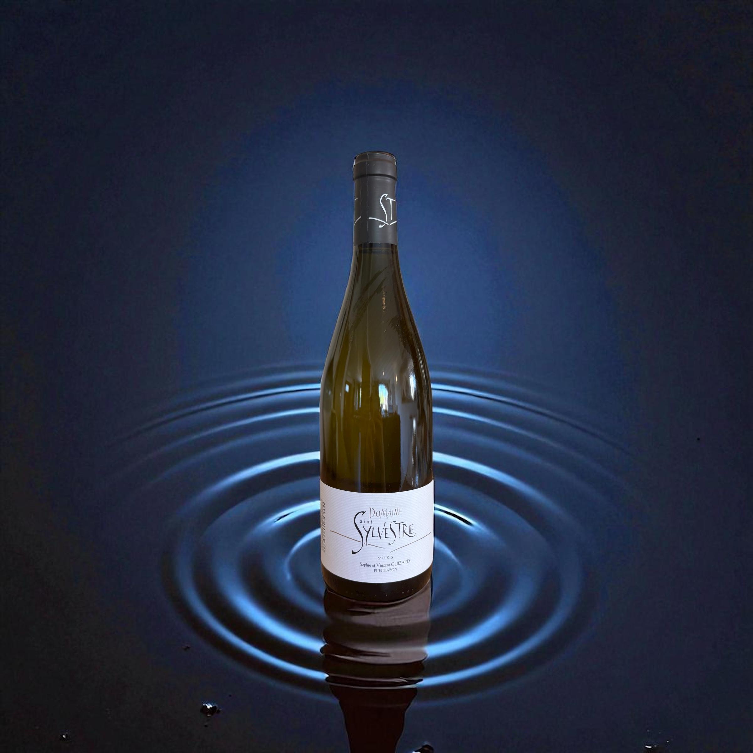 Saint Sylvestre Blanc - 2023