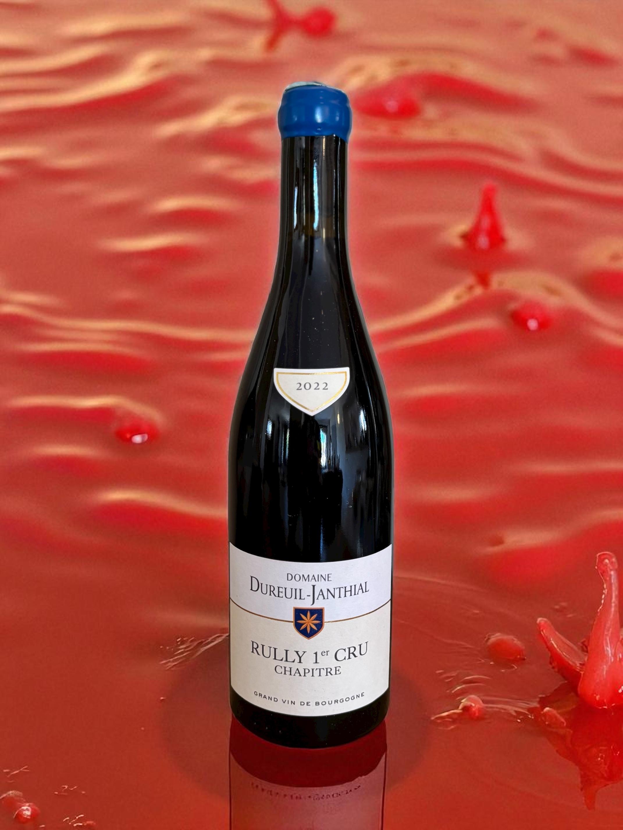 Rully 1er cru chapître - rouge - 2022