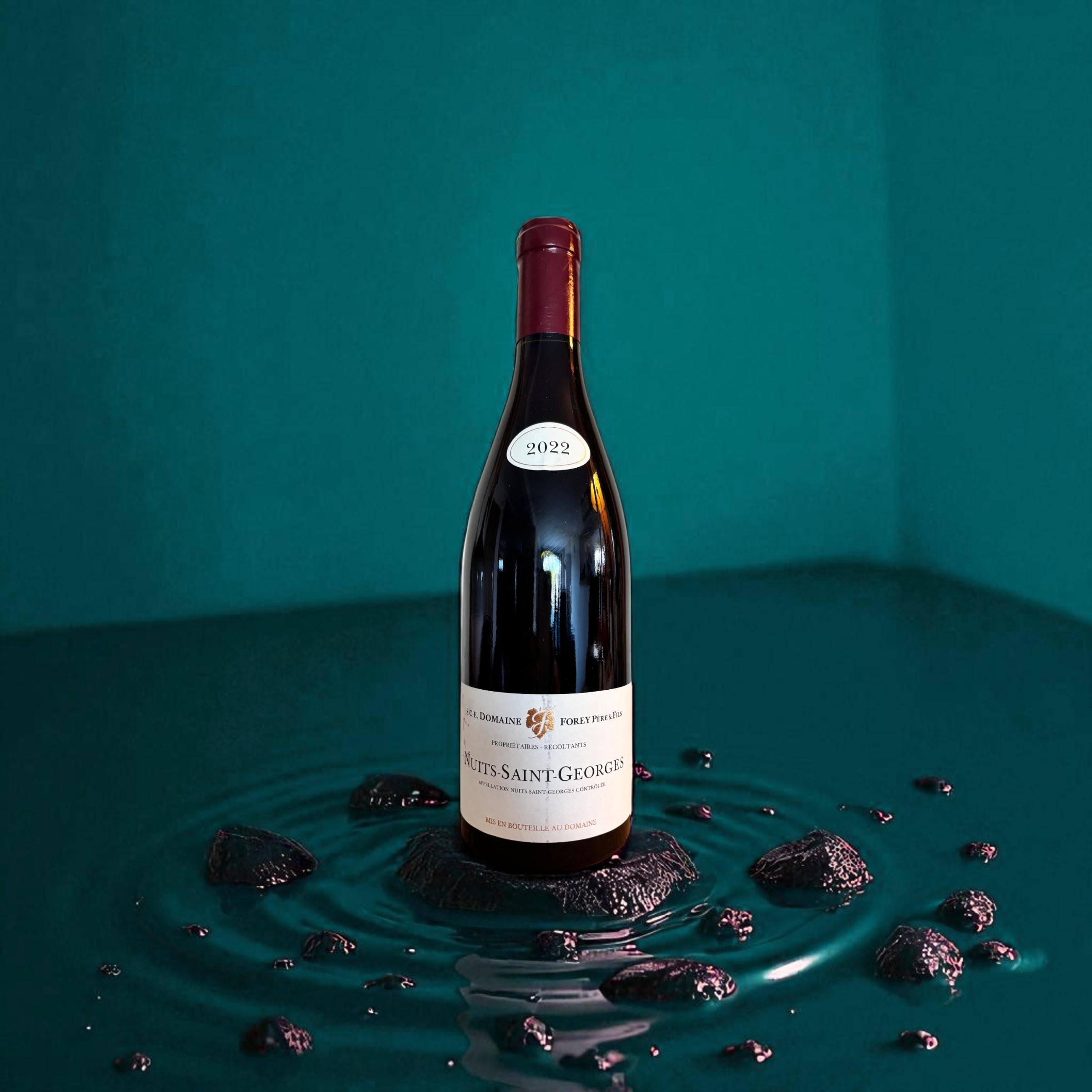 Nuits saint georges - rouge - 2022