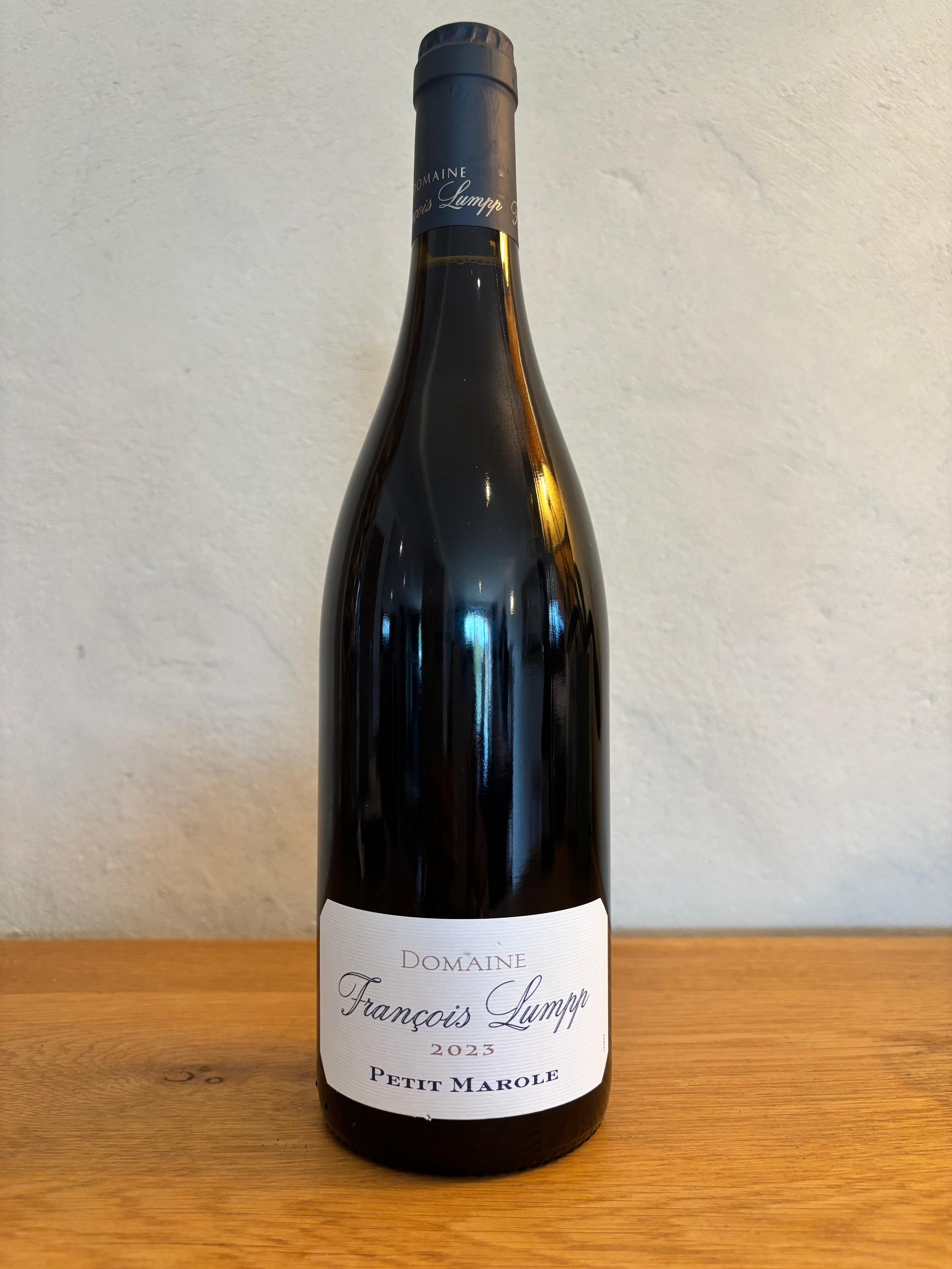 Petit marole - Rouge - 2023