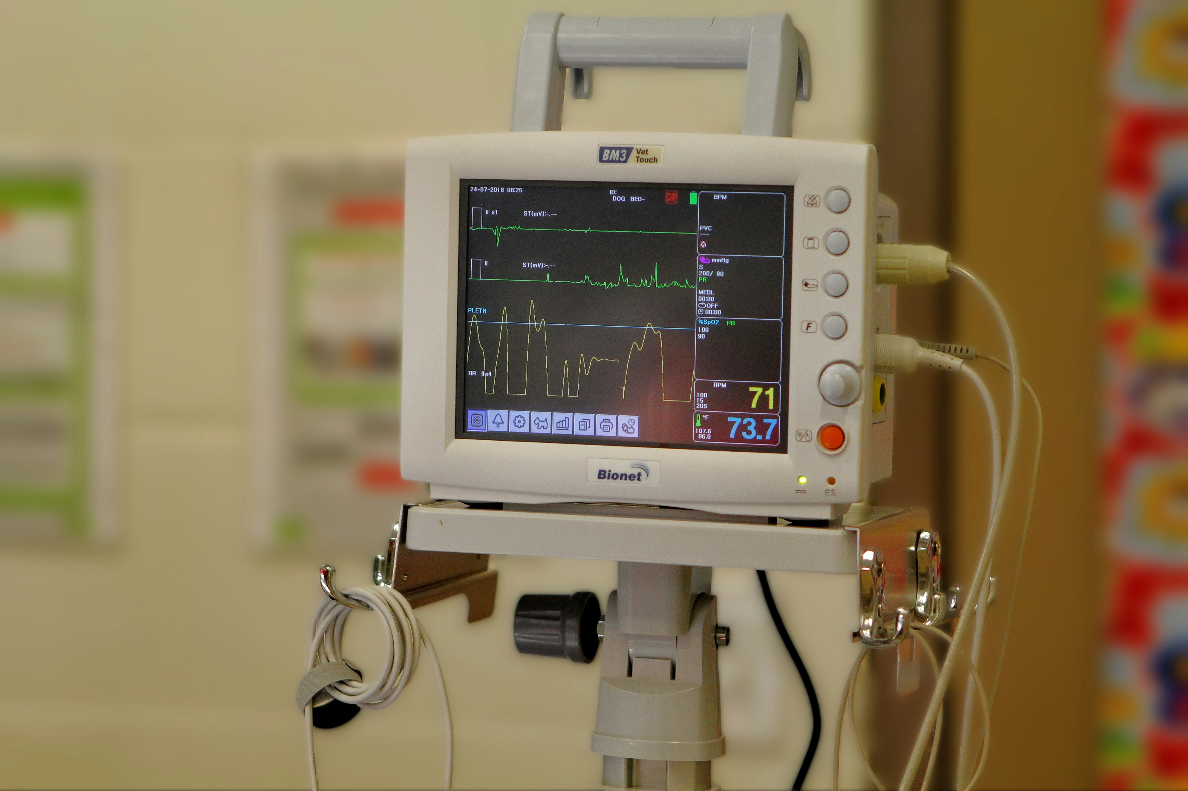 DR BUSHRA SHAHID - AP MEDICINE