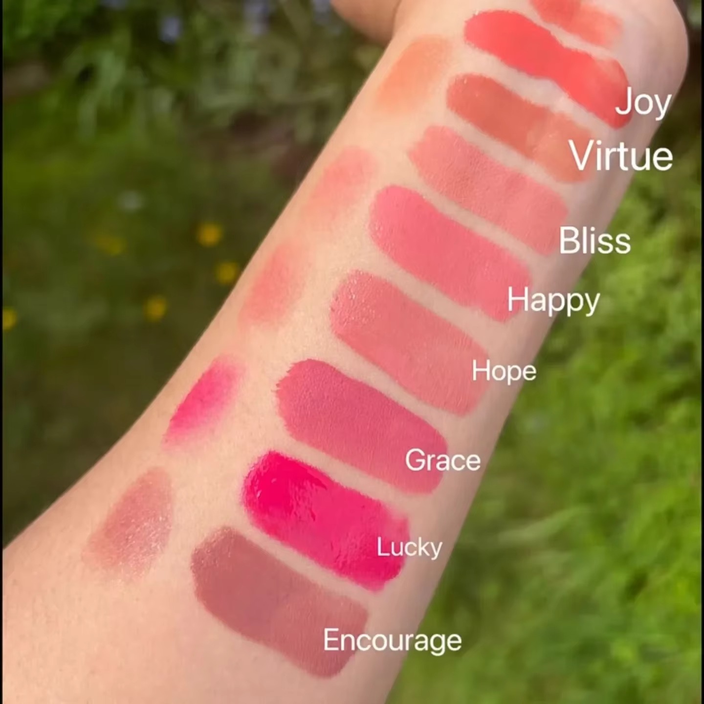Lip Tint Swatch Collection