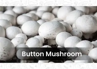 Button Mushroom (200 gm)