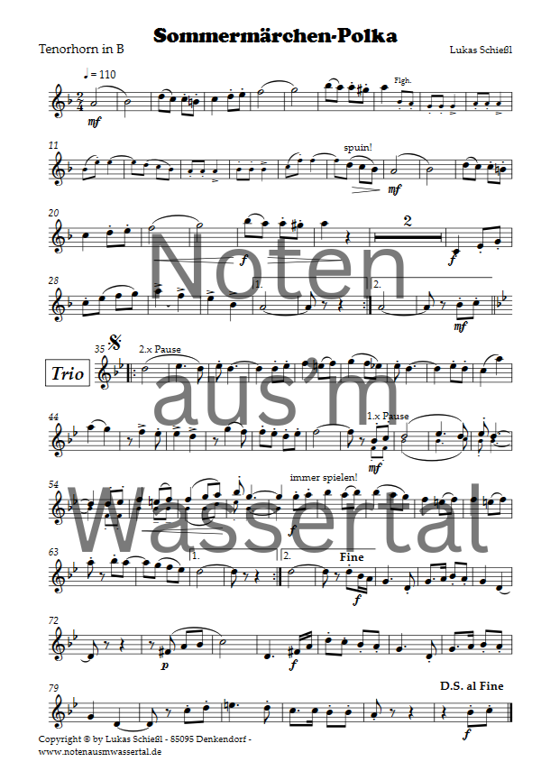 Sommermärchen-Polka - Downloadversion Böhmische Besetzung