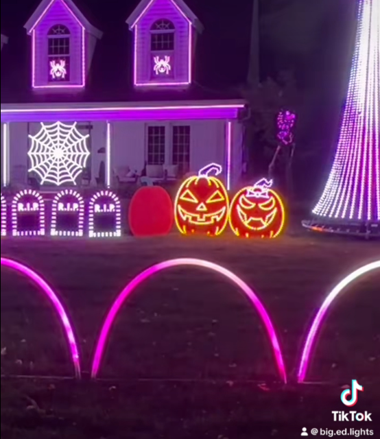 Beez in the trap (2025 TikTok Short)