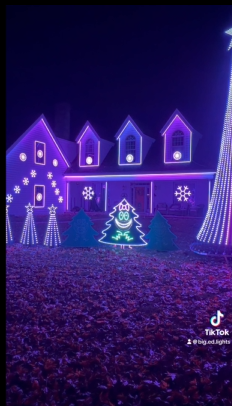 Sides Bitch (2025 TikTok Short)